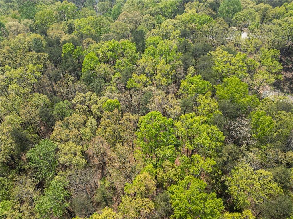 Ridge Road, Dawsonville, Georgia image 17