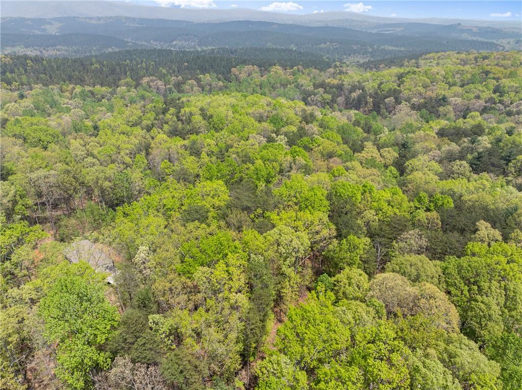Ridge Road, Dawsonville, Georgia image 14