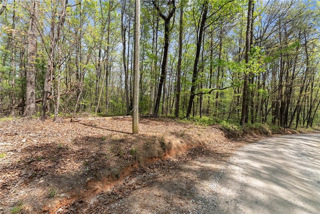 Ridge Road, Dawsonville, Georgia image 5
