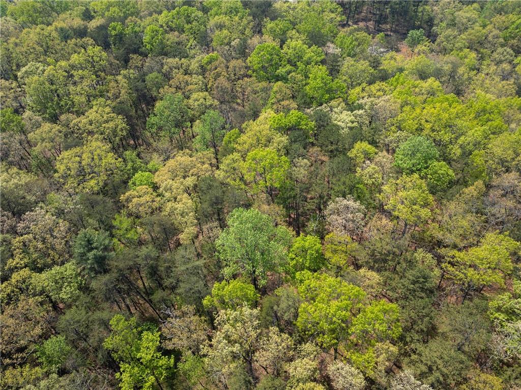 Ridge Road, Dawsonville, Georgia image 18