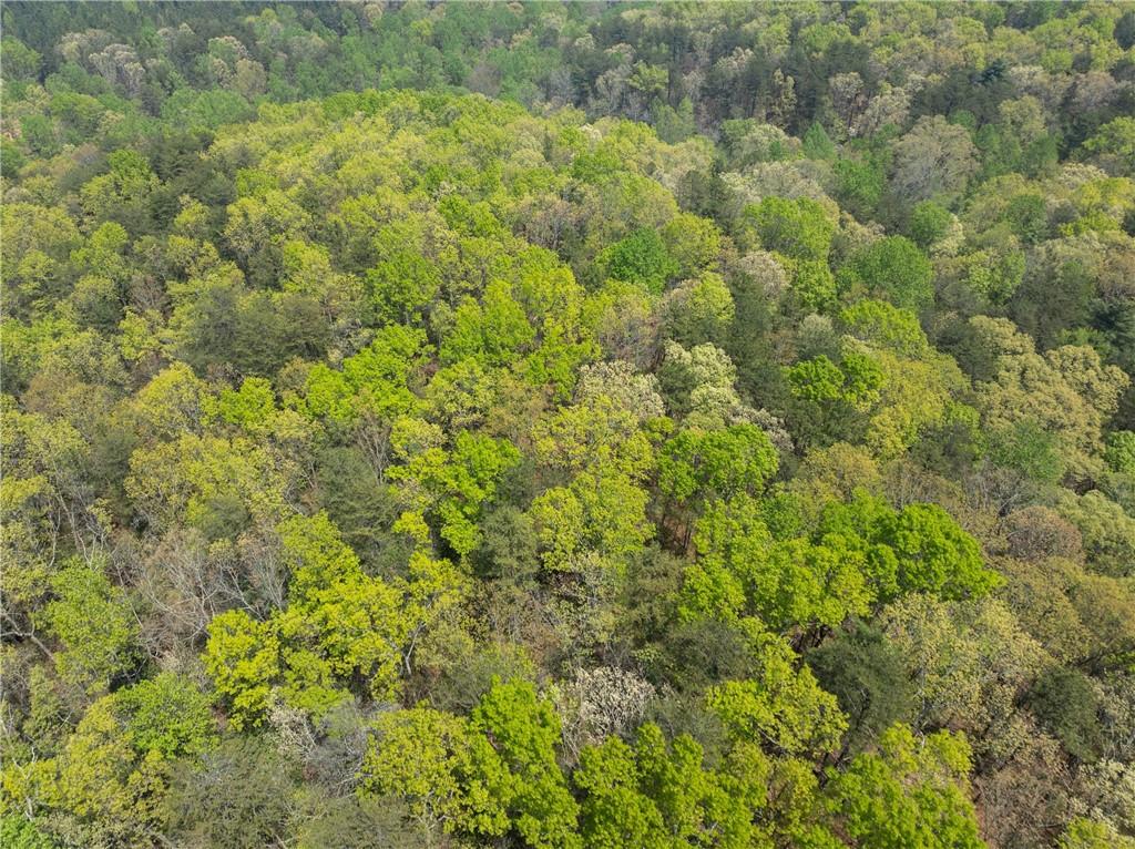 Ridge Road, Dawsonville, Georgia image 16