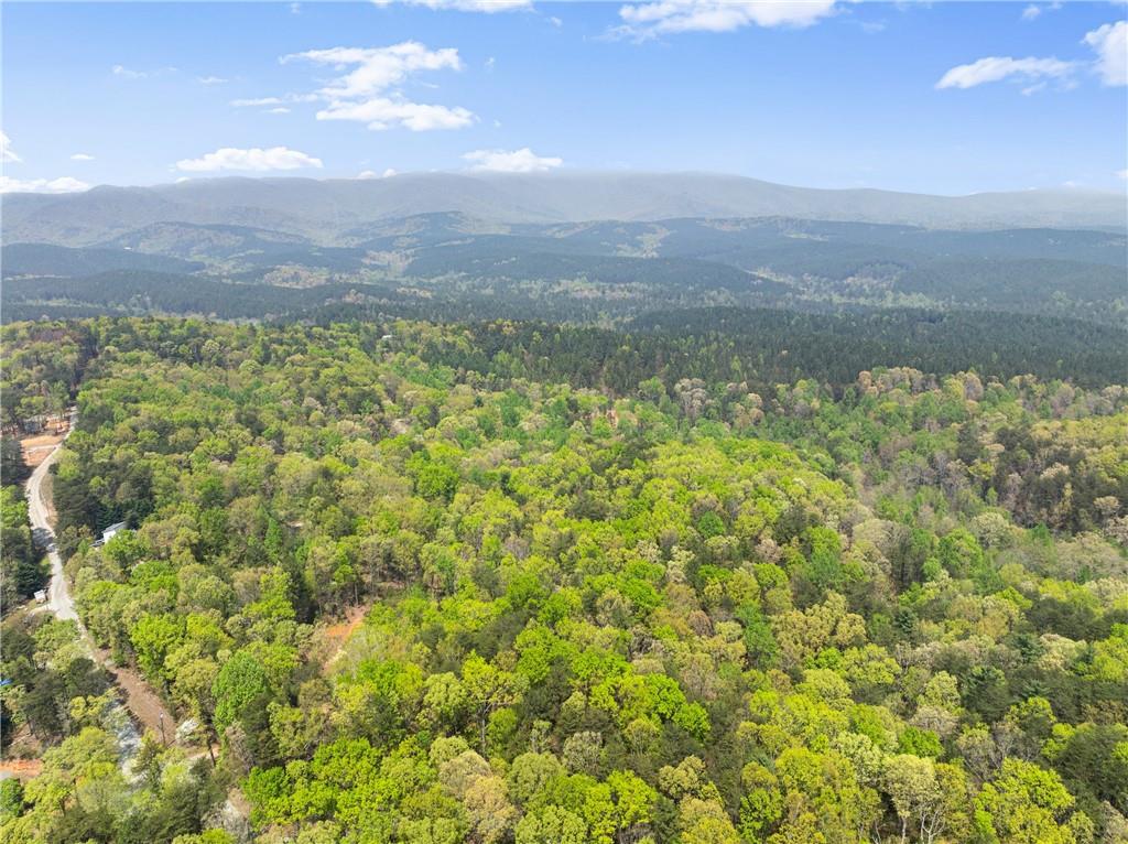 Ridge Road, Dawsonville, Georgia image 10