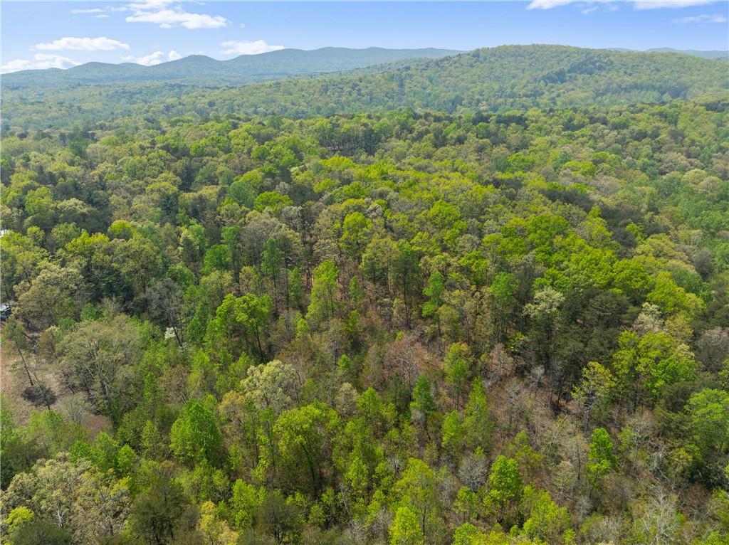 Ridge Road, Dawsonville, Georgia image 22