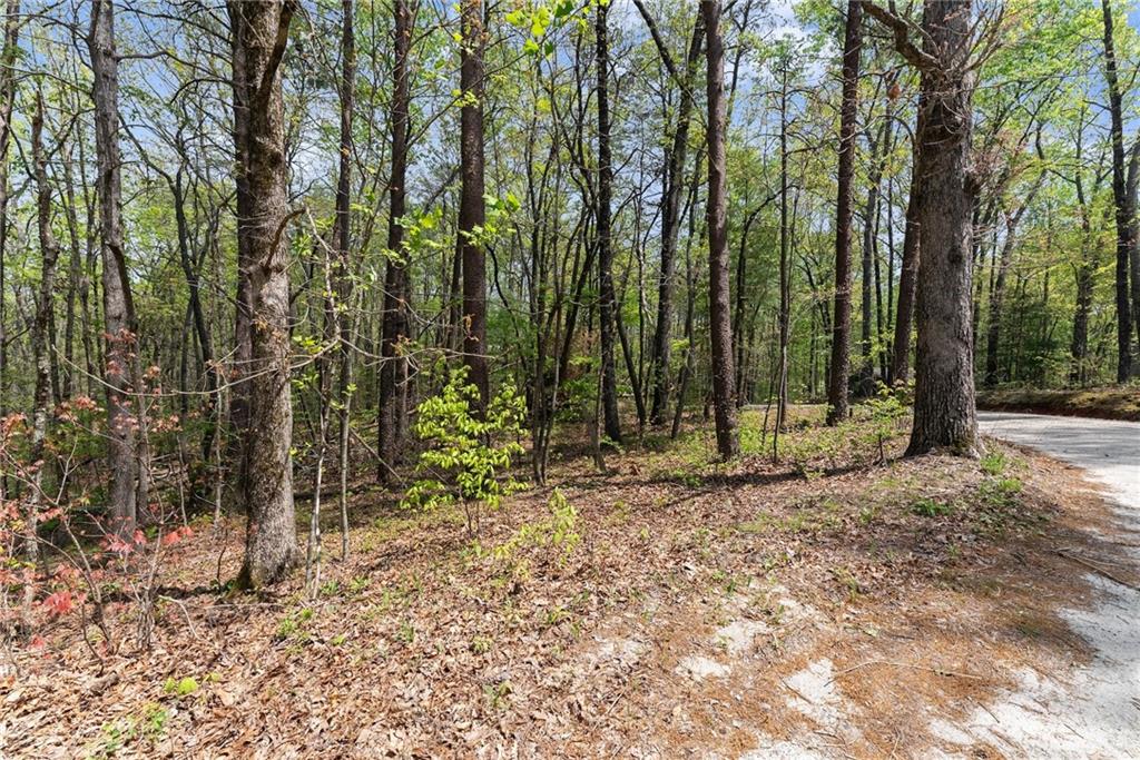 Ridge Road, Dawsonville, Georgia image 1