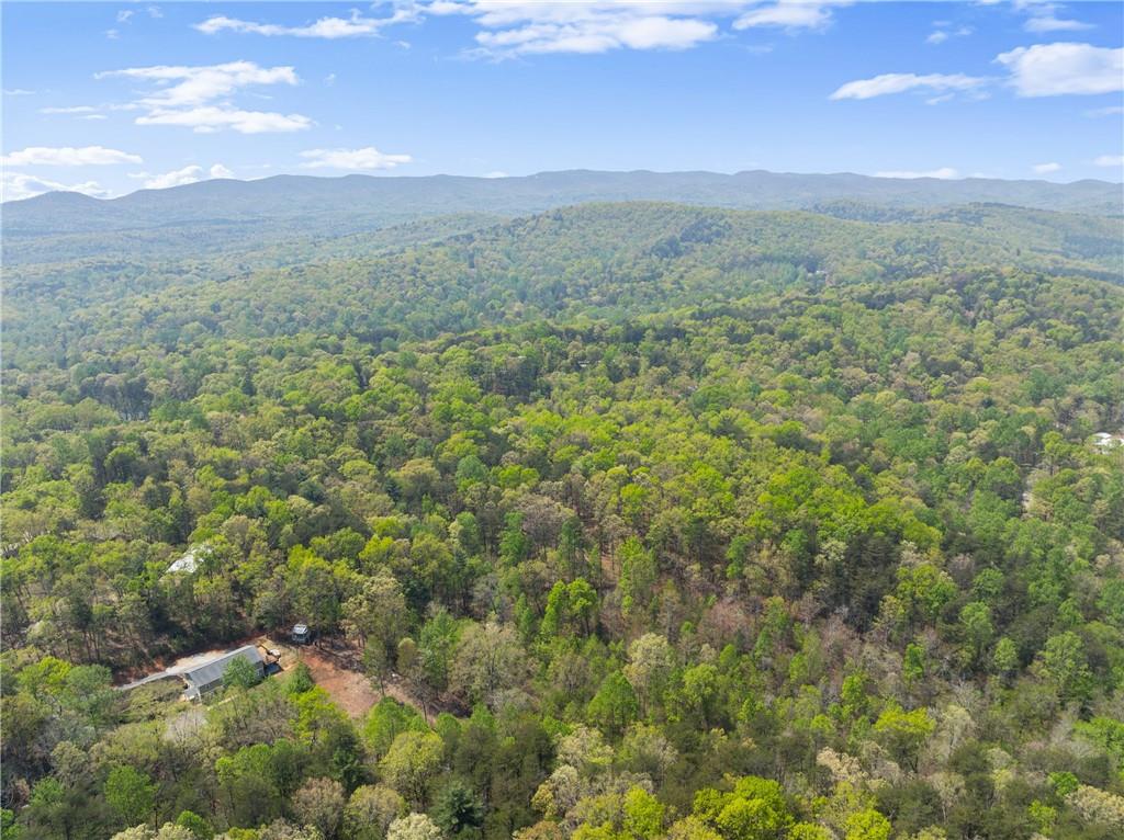 Ridge Road, Dawsonville, Georgia image 21