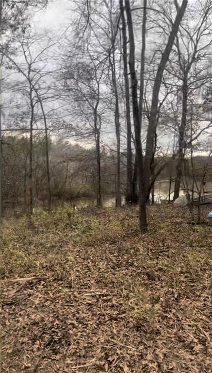 166 Lake Crest Drive
