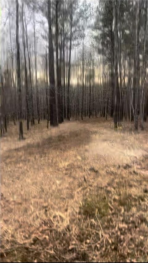 Vacant Land For Sale - 166 Lake Crest Drive<br/> Sparta, GA 31087