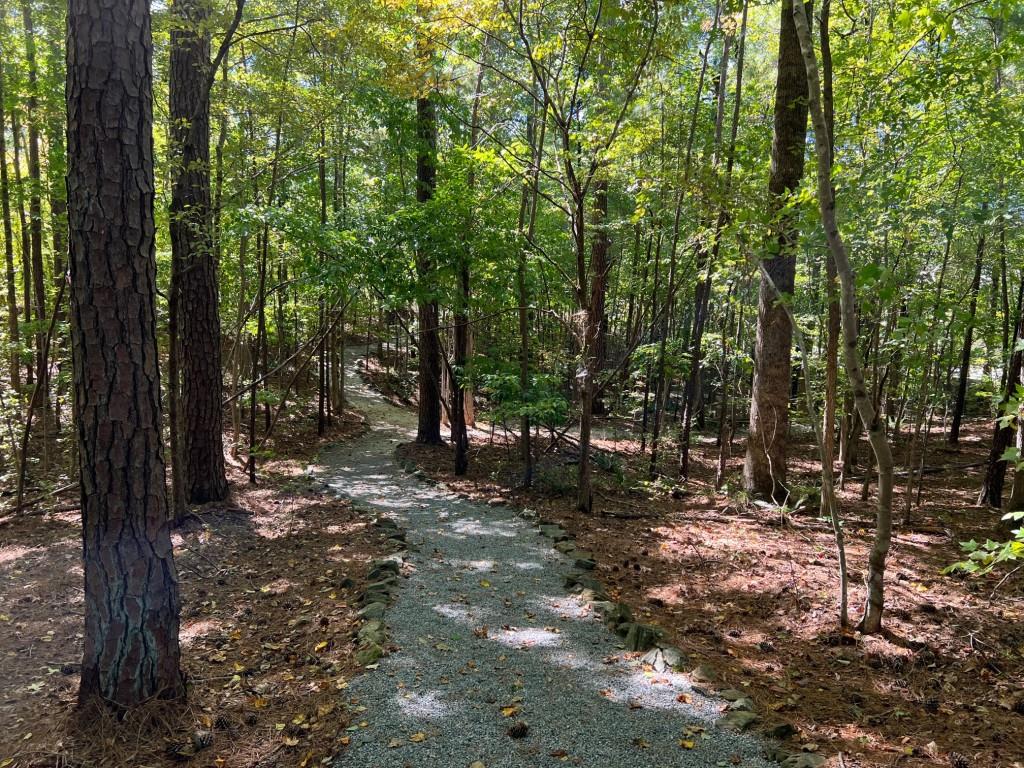 6218 Zell Miller Path Path, Acworth, Georgia image 21