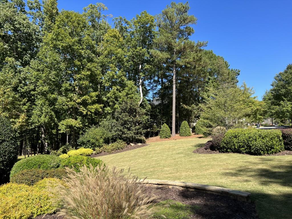 6218 Zell Miller Path Path, Acworth, Georgia image 24
