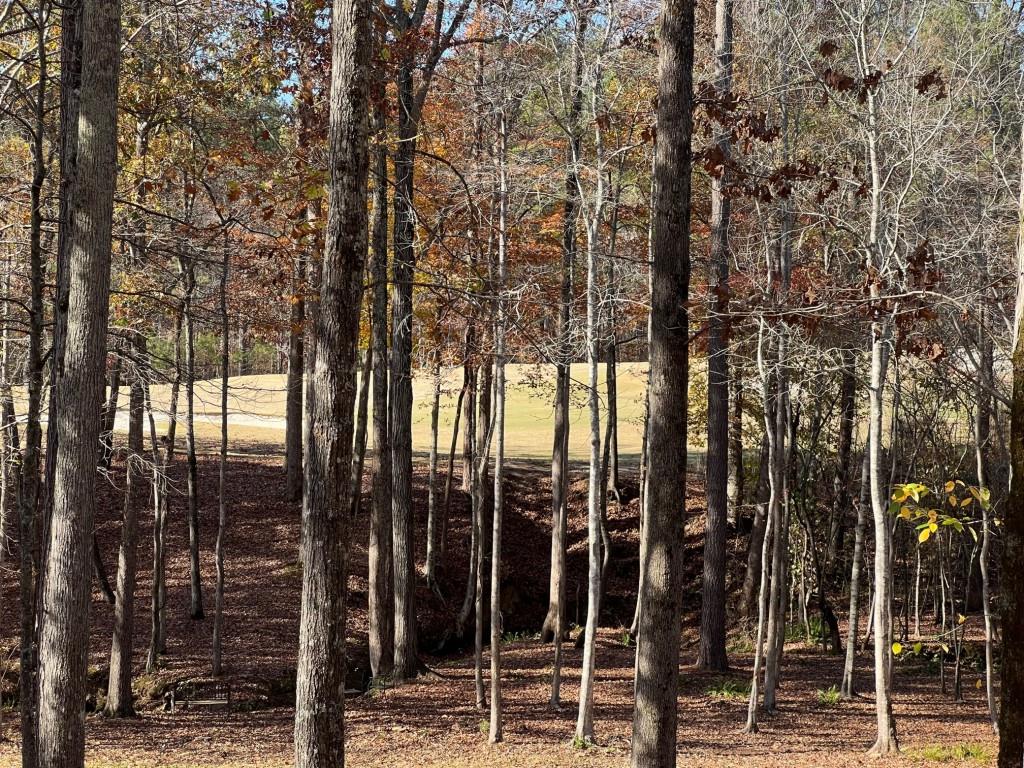 6218 Zell Miller Path Path, Acworth, Georgia image 25