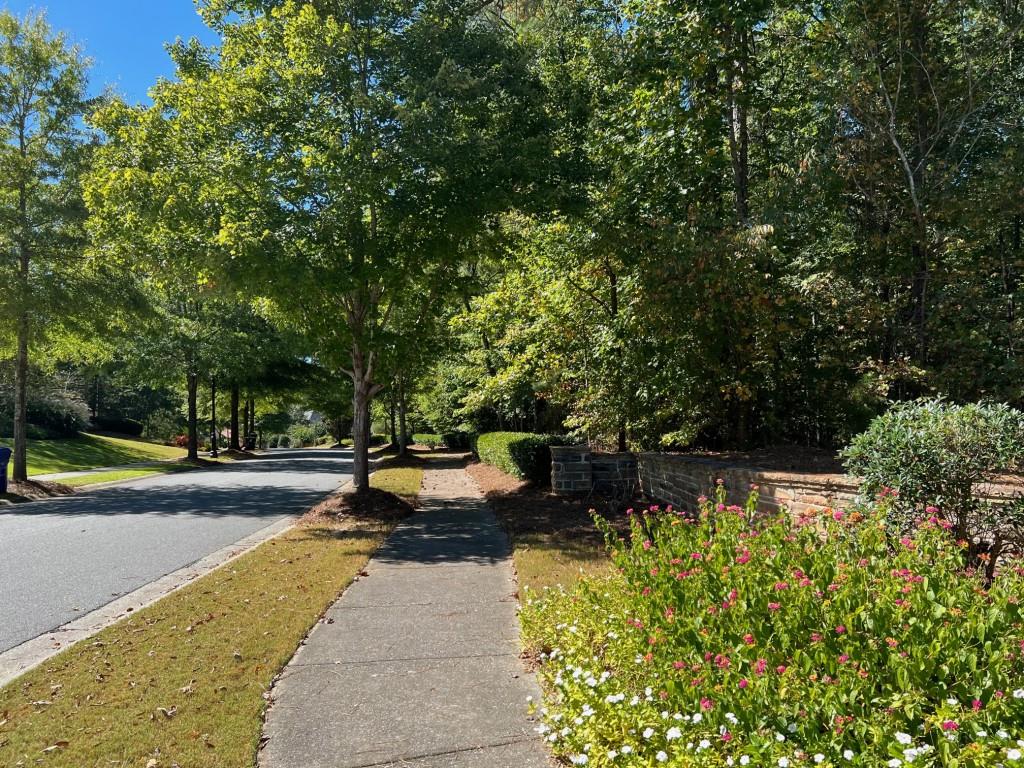 6218 Zell Miller Path Path, Acworth, Georgia image 19