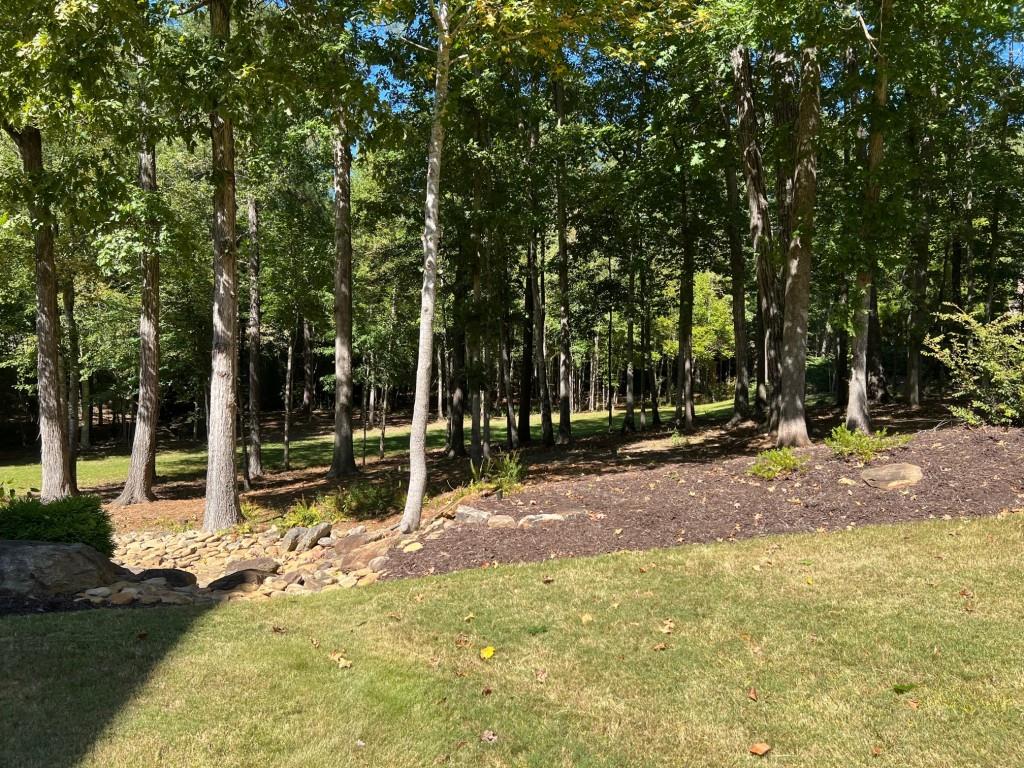 6218 Zell Miller Path Path, Acworth, Georgia image 14