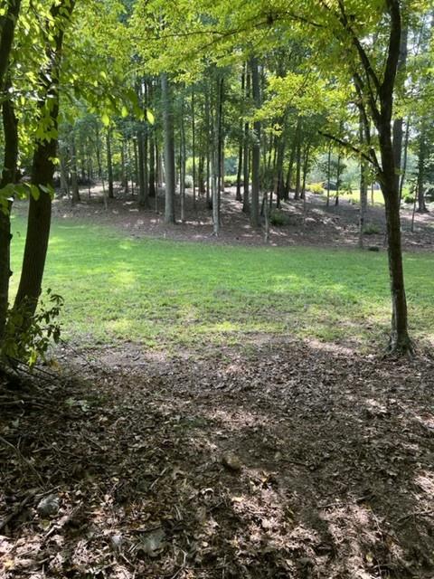 6218 Zell Miller Path Path, Acworth, Georgia image 11