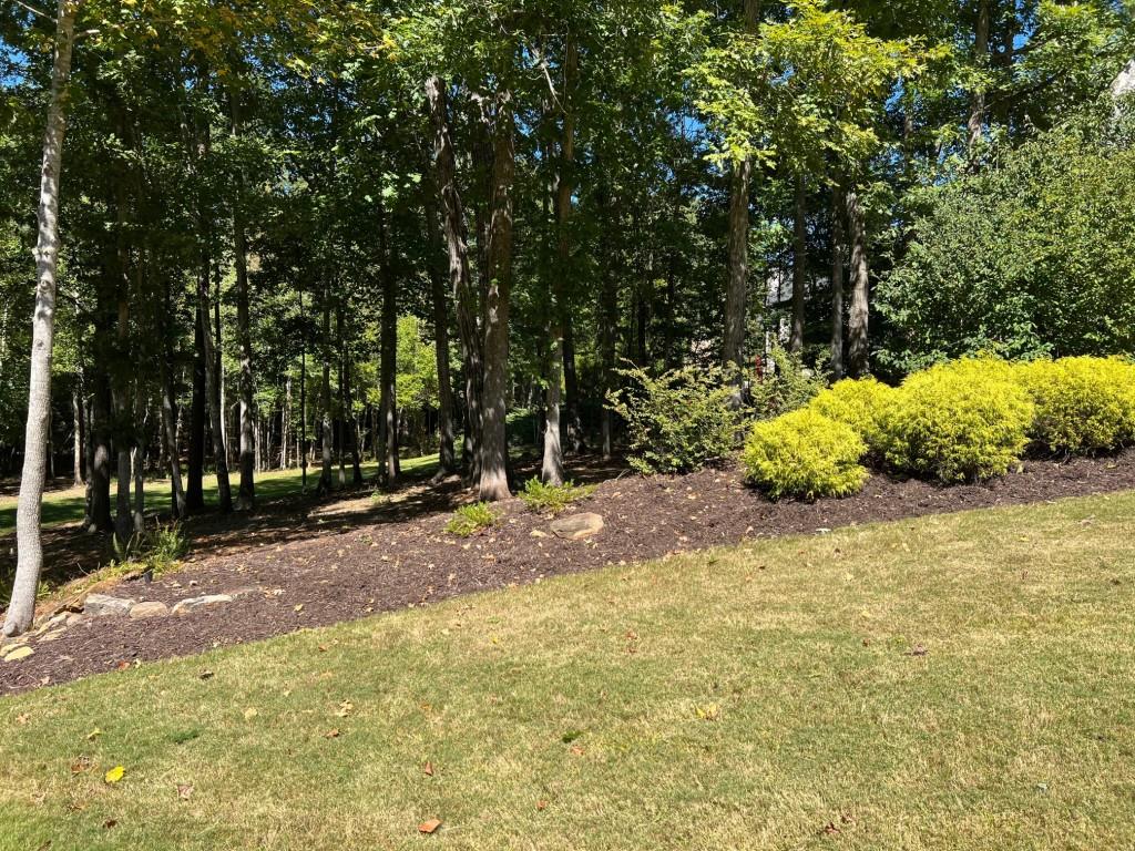 6218 Zell Miller Path Path, Acworth, Georgia image 13
