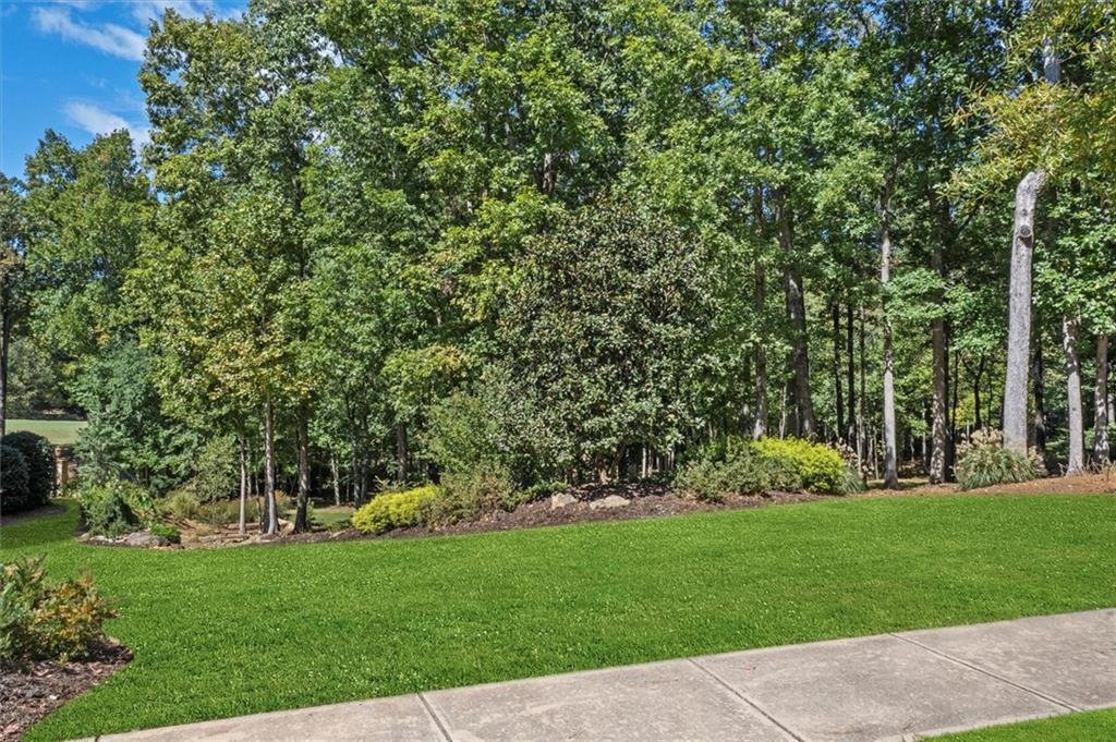 6218 ZELL MILLER PATH
