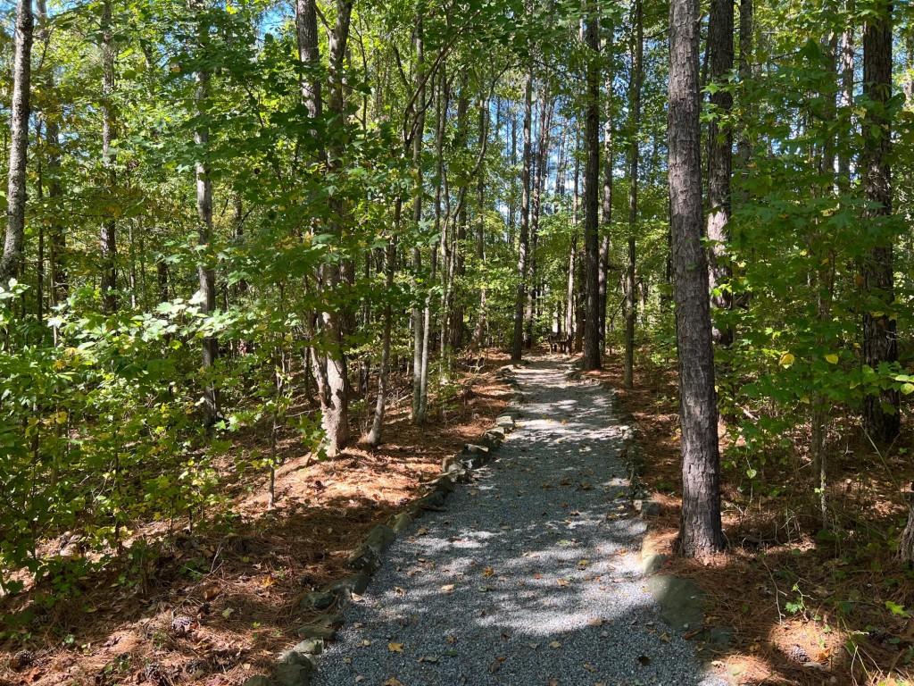 6218 Zell Miller Path Path, Acworth, Georgia image 20