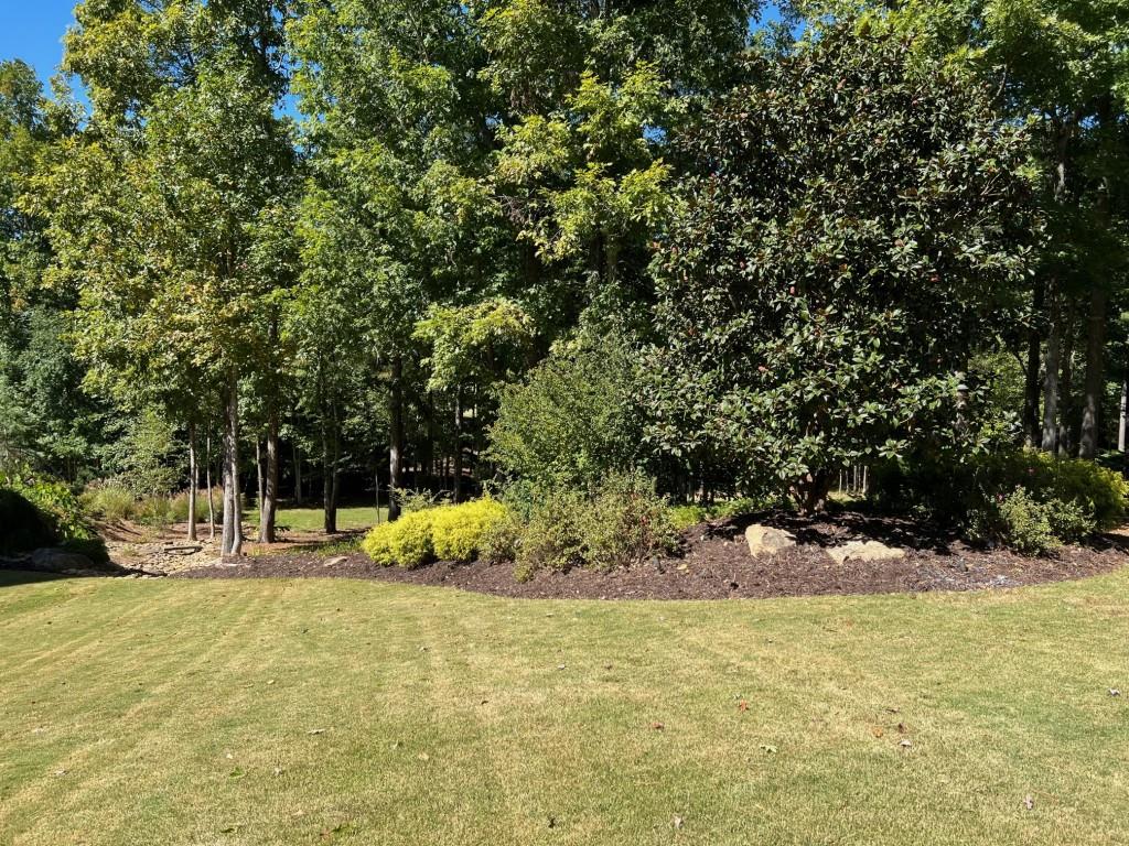6218 Zell Miller Path Path, Acworth, Georgia image 15