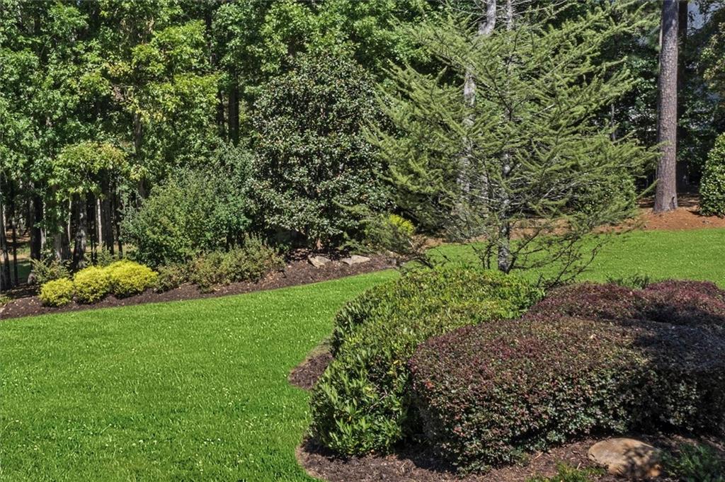 6218 ZELL MILLER PATH