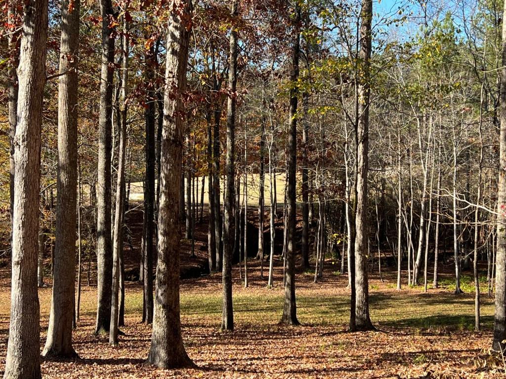 6218 Zell Miller Path Path, Acworth, Georgia image 26
