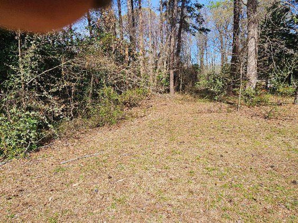 listing image 26