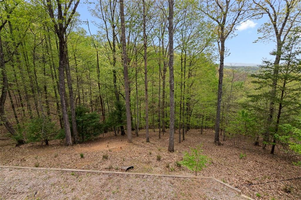 675 Green Ridge Road, Blue Ridge, Georgia image 41