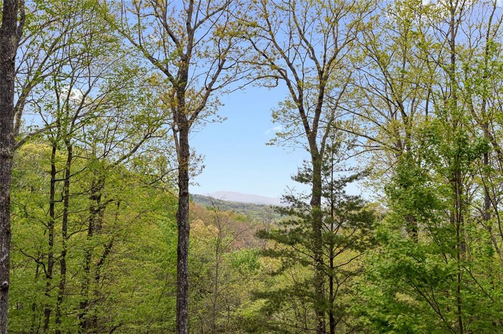 675 Green Ridge Road, Blue Ridge, Georgia image 40