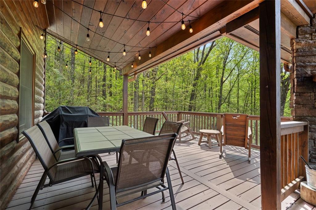 675 Green Ridge Road, Blue Ridge, Georgia image 37