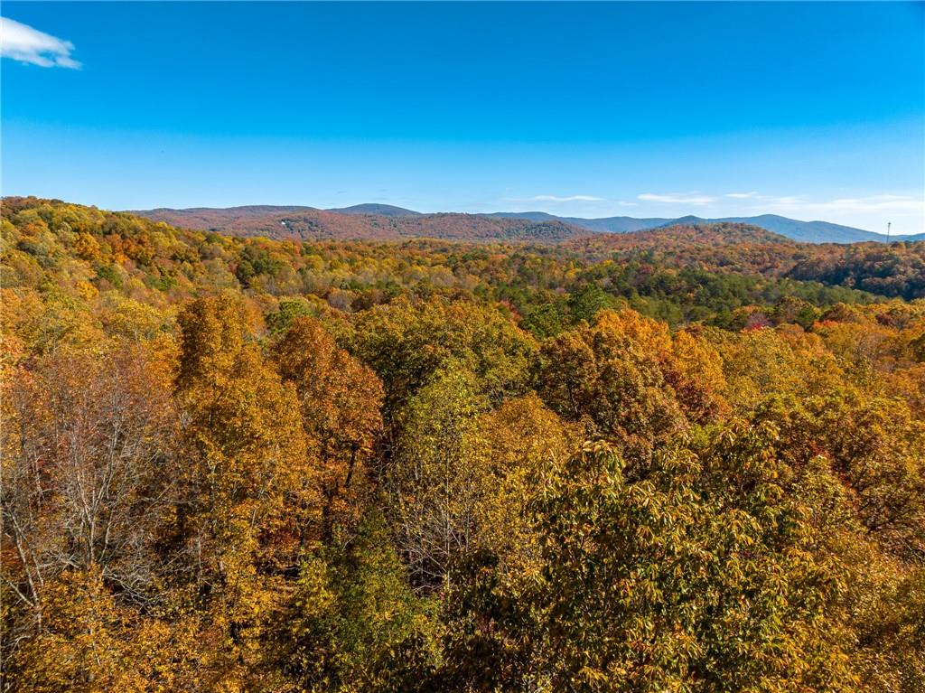 328 Ridgeline Road, Talking Rock, Georgia image 4