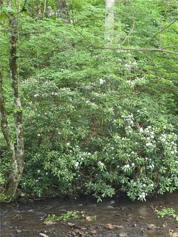 Other-North Carolina, North Carolina 28904, United States, 1 Bedroom Bedrooms, ,1 BathroomBathrooms,Residential,Active,187671