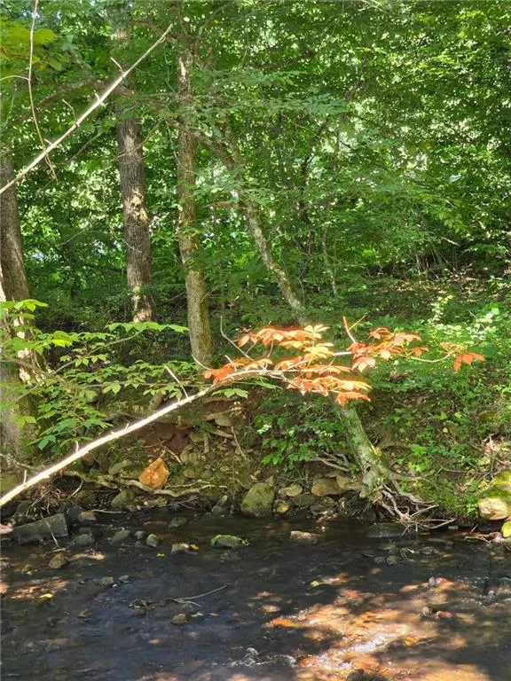 Other-North Carolina, North Carolina 28904, United States, 1 Bedroom Bedrooms, ,1 BathroomBathrooms,Residential,Active,187671