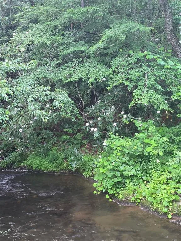 Other-North Carolina, North Carolina 28904, United States, 1 Bedroom Bedrooms, ,1 BathroomBathrooms,Residential,Active,187671