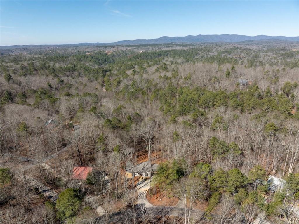 2140 Newport Drive, Ellijay, Georgia image 40