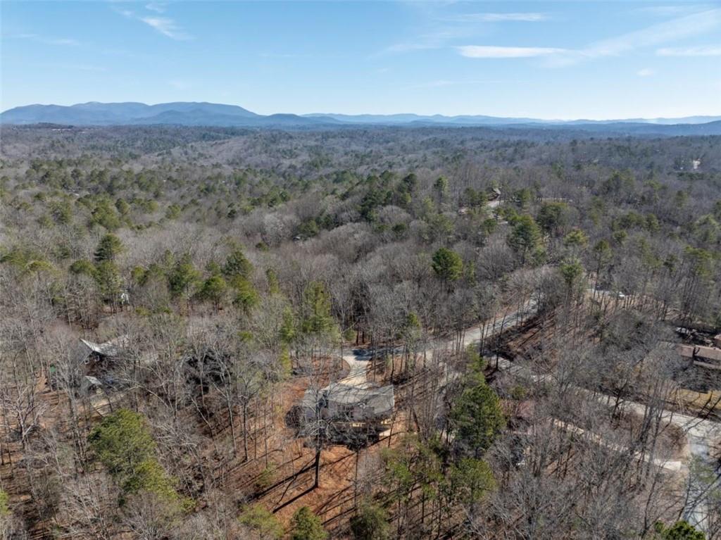 2140 Newport Drive, Ellijay, Georgia image 43