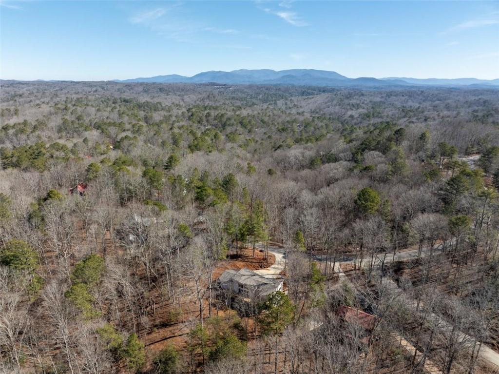 2140 Newport Drive, Ellijay, Georgia image 42