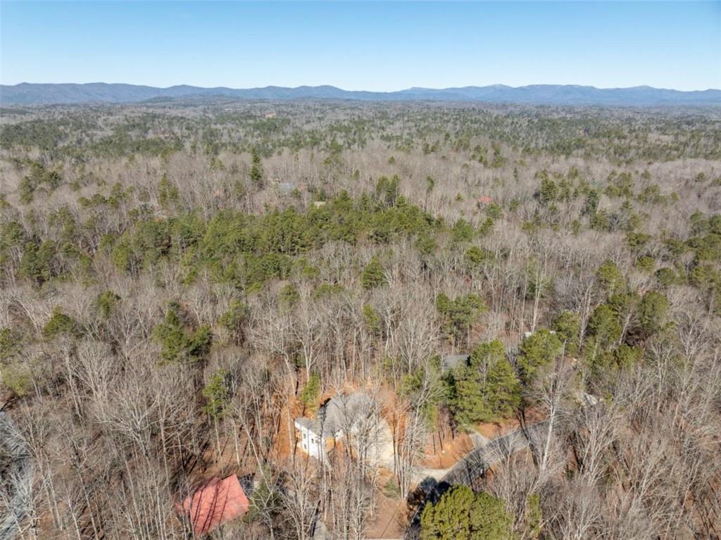 2140 Newport Drive, Ellijay, Georgia image 41