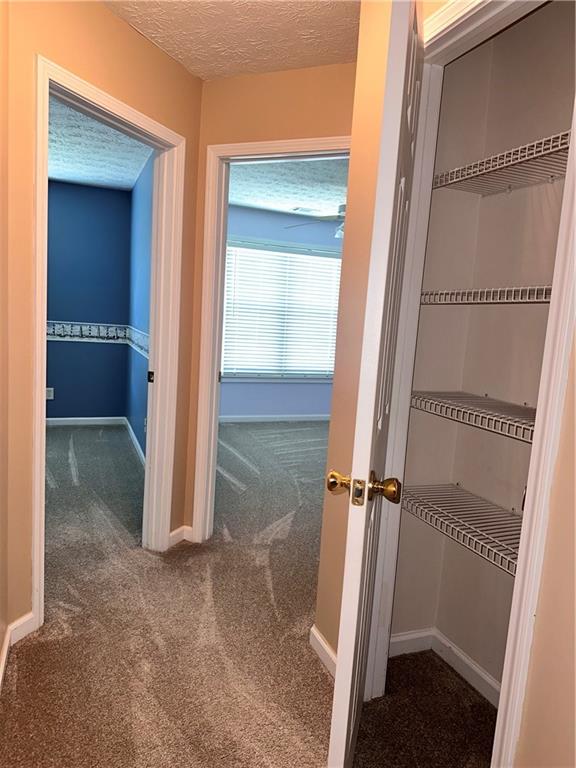 6241 Saturn Drive, Flowery Branch, Georgia image 15