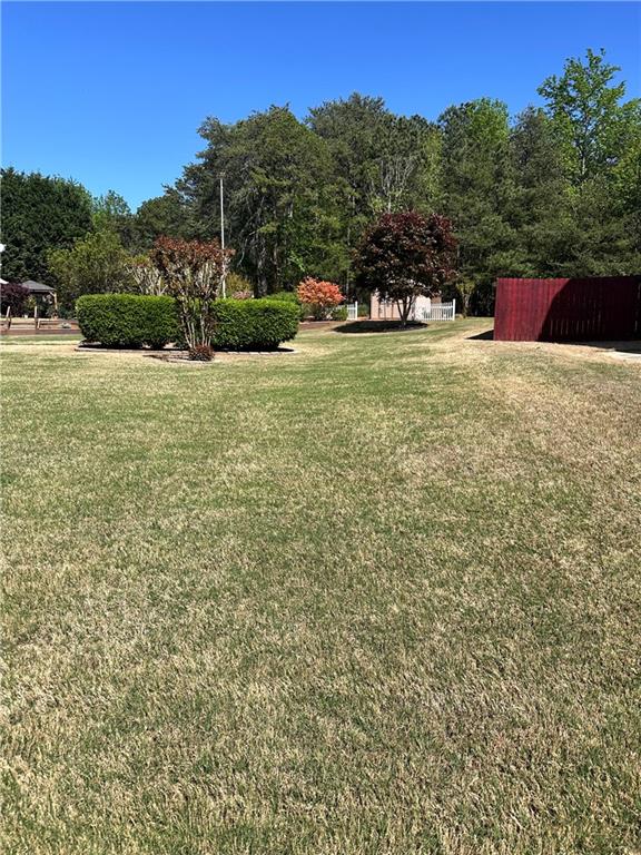 6241 Saturn Drive, Flowery Branch, Georgia image 46