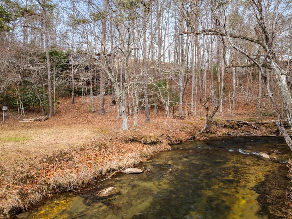 321 Laurel Circle, Blue Ridge, Georgia image 9