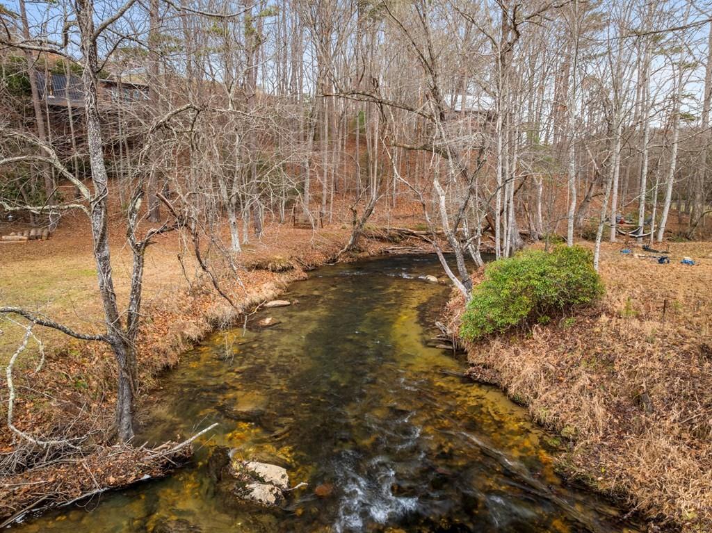 321 Laurel Circle, Blue Ridge, Georgia image 8