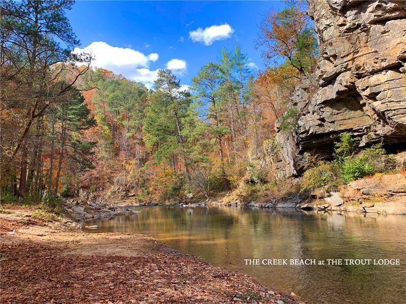 1749B Elk, Talking Rock, Georgia image 45