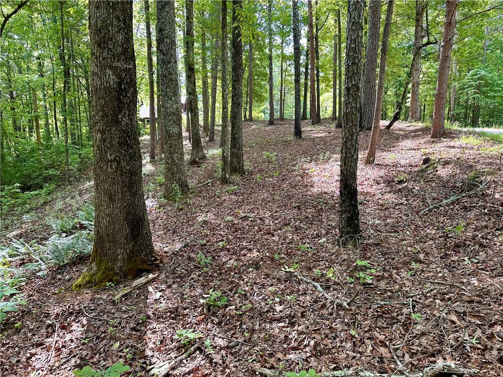 1749B Elk, Talking Rock, Georgia image 1