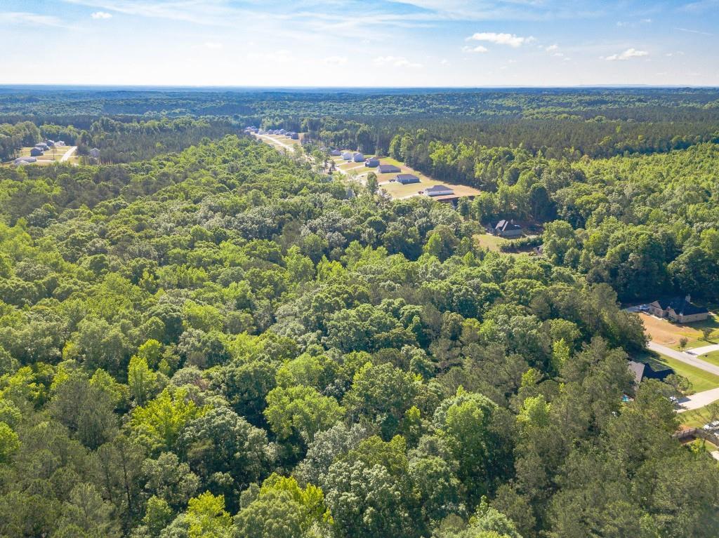 Hunter Welch Parkway, Luthersville, Georgia image 11