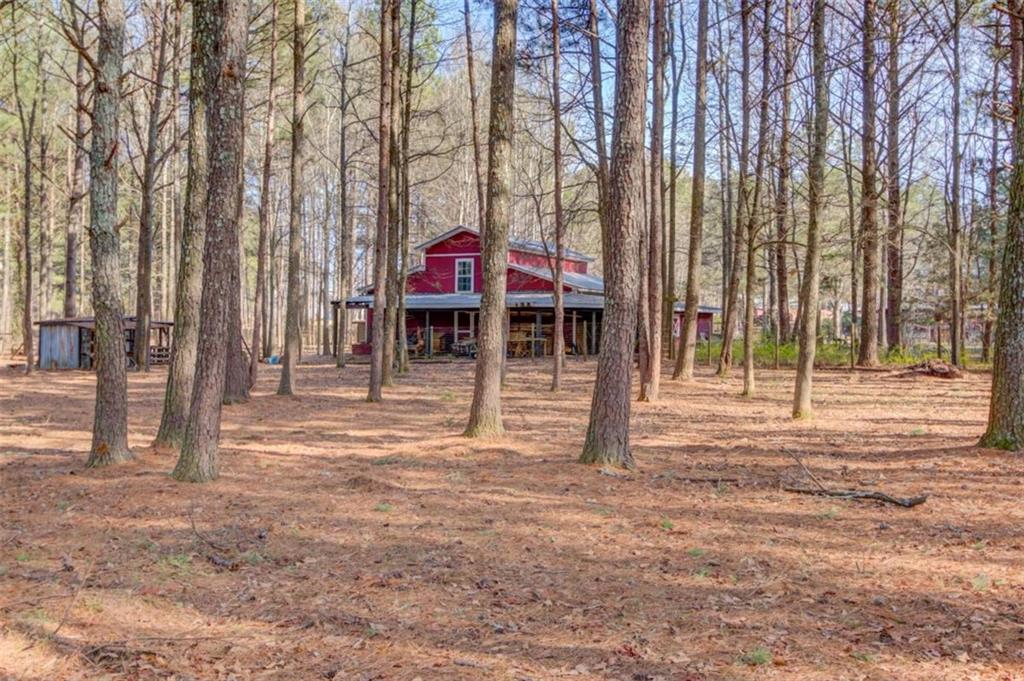 3274 Moina Michael Road, Good Hope, Georgia image 4