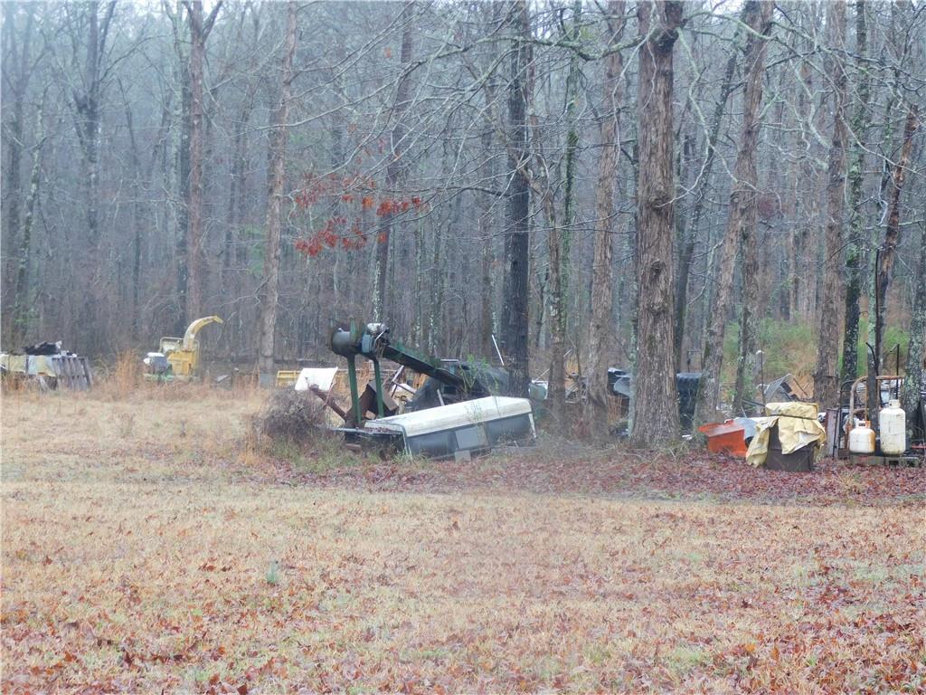 696 Grove Street, Barnesville, Georgia image 3