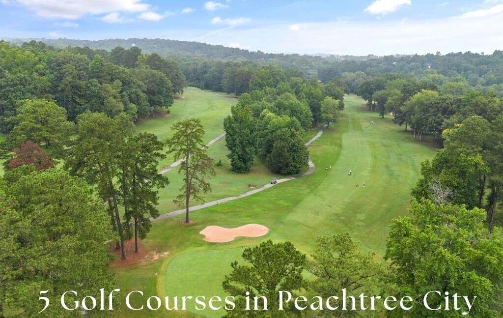 108 Shawville Lane, Peachtree City, Georgia image 45