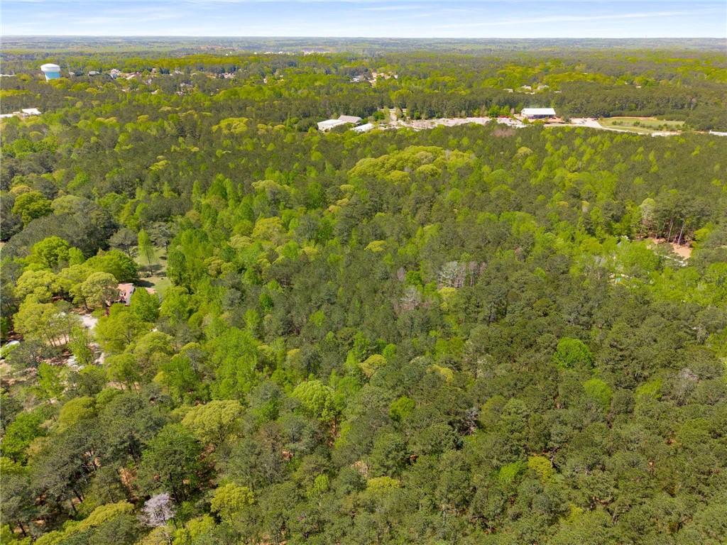Pinecrest Drive, Tyrone, Georgia image 8