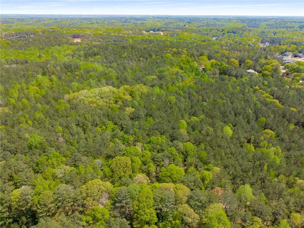 Pinecrest Drive, Tyrone, Georgia image 16