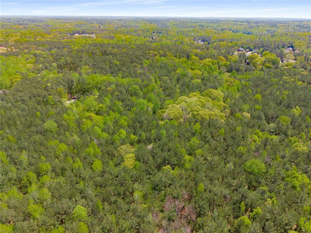 Pinecrest Drive, Tyrone, Georgia image 14