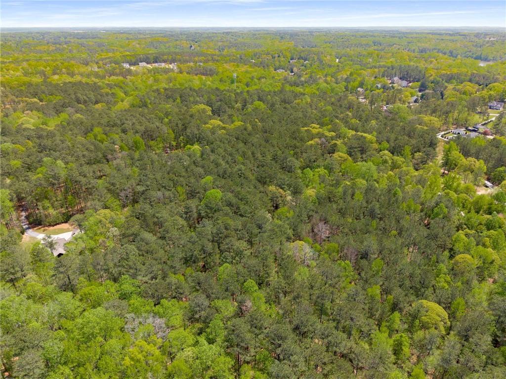 Pinecrest Drive, Tyrone, Georgia image 3