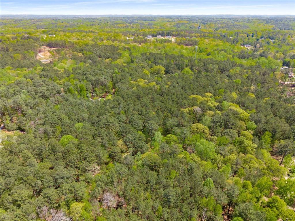 Pinecrest Drive, Tyrone, Georgia image 4